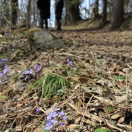 Granum Gård 3* Fluberg