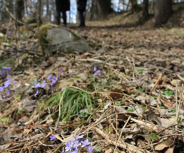 Granum Gard 3* Fluberg